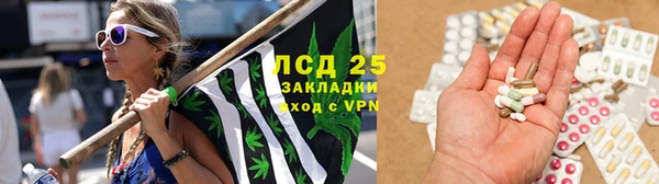 дмт Алексин