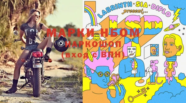 дмт Алексин