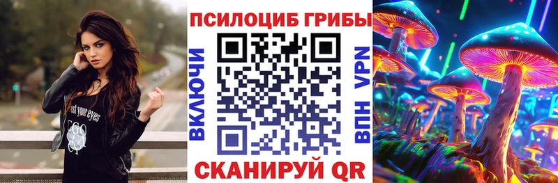 mega рабочий сайт  Белгород  Галлюциногенные грибы Psilocybine cubensis 